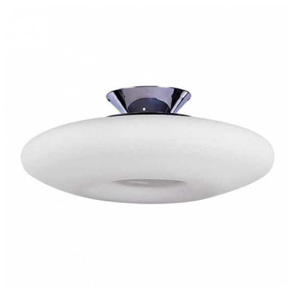 PIRES 50 TOP WHITE