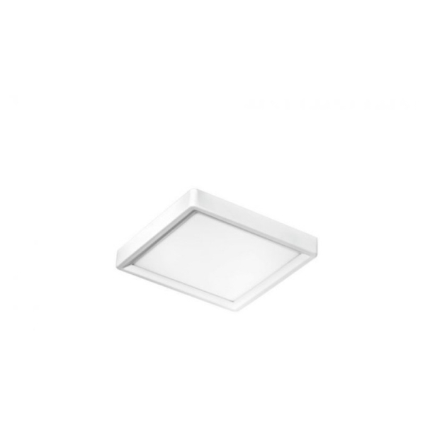 TAPPO white
