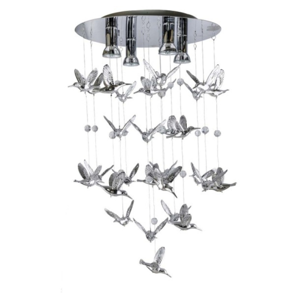 BIRDS