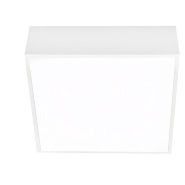 FALCO 12 3000K WHITE