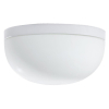 KALLISTO WHITE