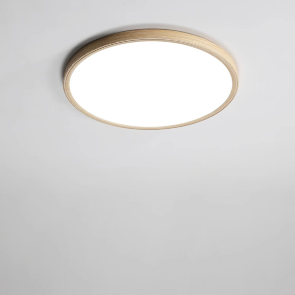 Потолочный светильник Sunroot D60