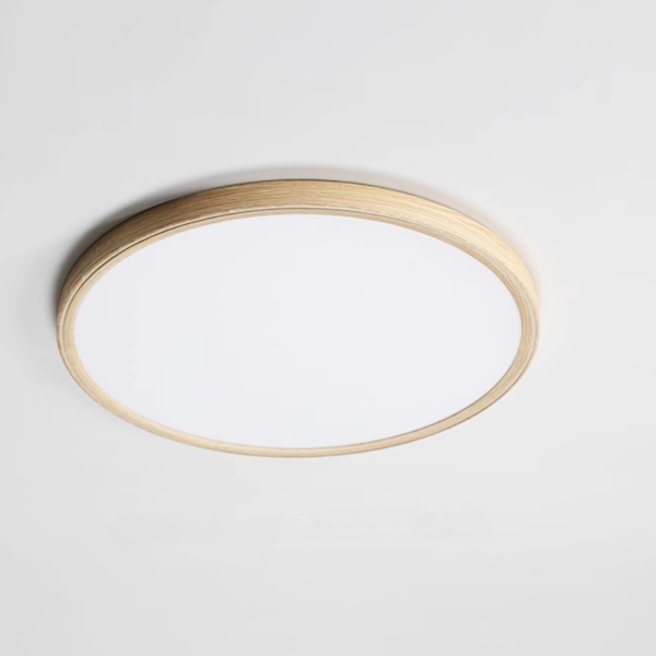 Потолочный светильник Sunroot D60