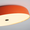 Потолочный светильник Arctic Leaf D48 Цвет Оранжевый