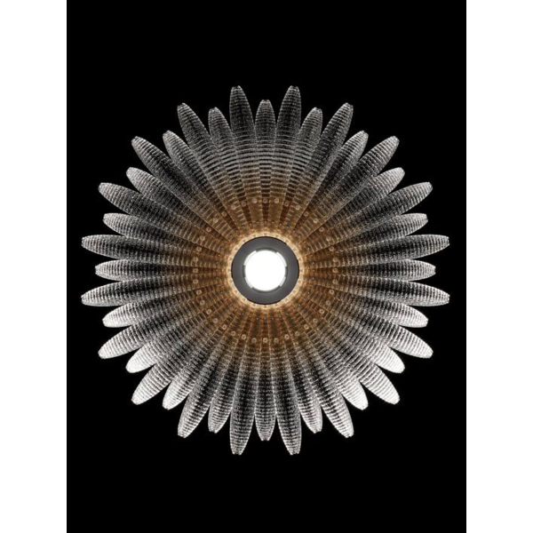 Потолочный светильник Aurelia Glass Petal