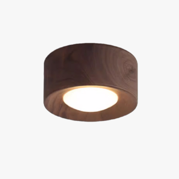 Точкове світло WOODSPOT DARK Вбудований