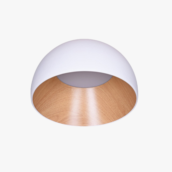 DISH білий A 50см