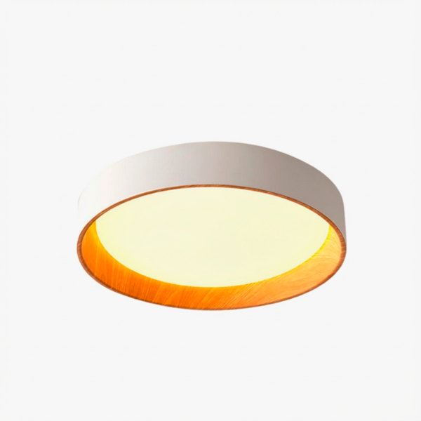 Стельовий світильник LED ROUND W