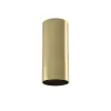 EREBUS TUBE 21 GOLD