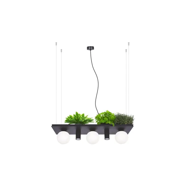 Подвесной светильник в стиле хай-тек PLANT SHELF ZUMALINE в гостиную, кухню в цвете черный