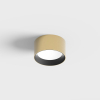 PRISMA M, D149mm, H80mm, LED 13W, 4000К, латунь/чорний (02.1580.13.940.BR/BK)