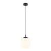 Подвесной светильник в стиле модерн VIBE WHITE LAMPA WISZACA 1 250 TK Lighting в кухню, спальню в цвете черный