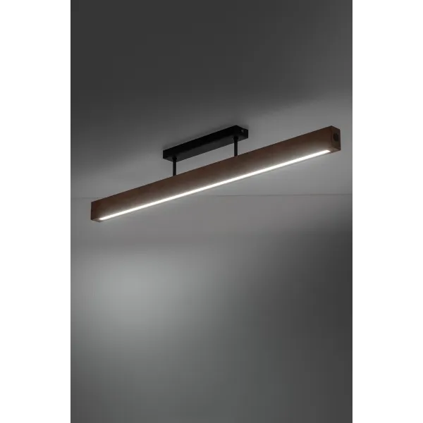 Світильник стельовий TK LIGHTING