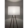 Торшер TK LIGHTING