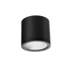 CONYON IP54 25W CCT SWITCH BK