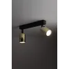 Светильник потолочный TOP GOLD 2 TK Lighting в гостиную, кухню в стиле лофт