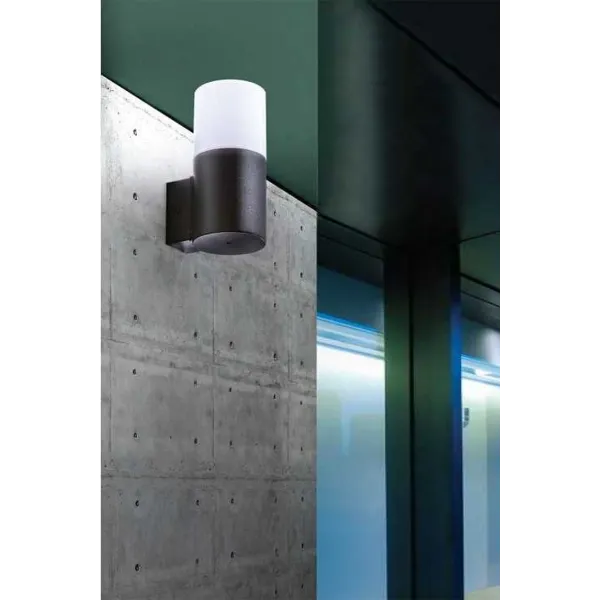 NILS WALL BK
