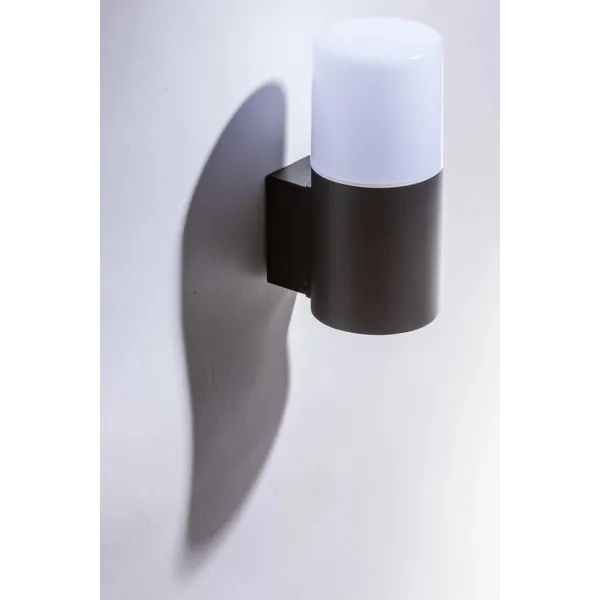 NILS WALL BK
