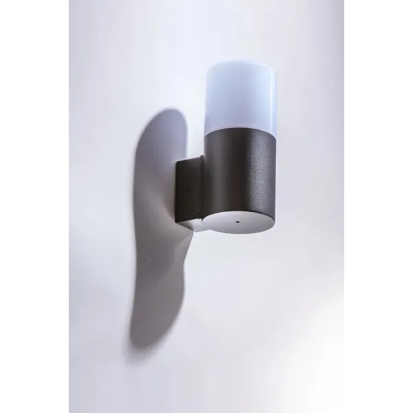 NILS WALL BK