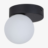 Потолочный светильник TK Lighting Bianca черный 5681