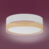 Потолочный светильник TK Lighting Paglia Потолочний 450 белый 6536
