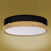 Стельовий світильник TK Lighting Paglia Потолочний 600 чорний 6547