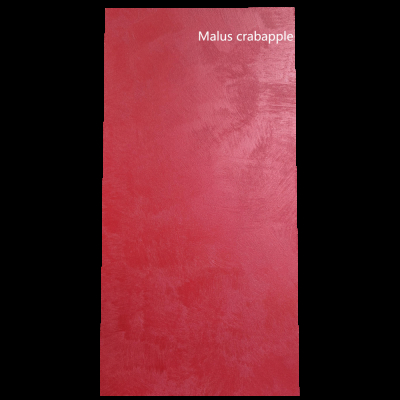 Тверда стінова панель Malus Crabapple 1220-3050-3мм