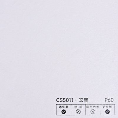 Стінова панель PREMIUM CS5011 Кипенная шкіра