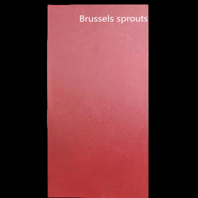 Твёрдая стеновая панель KBOOS Brussels Sprouts 1220-3050-3мм