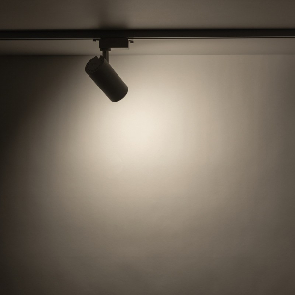 Трековий світильник однофазний TK Lighting TRACER GU10 білий 10972