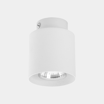Накладний точковий світильник TK Lighting VICO білий
