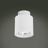Накладной точечный светильник TK Lighting VICO белый