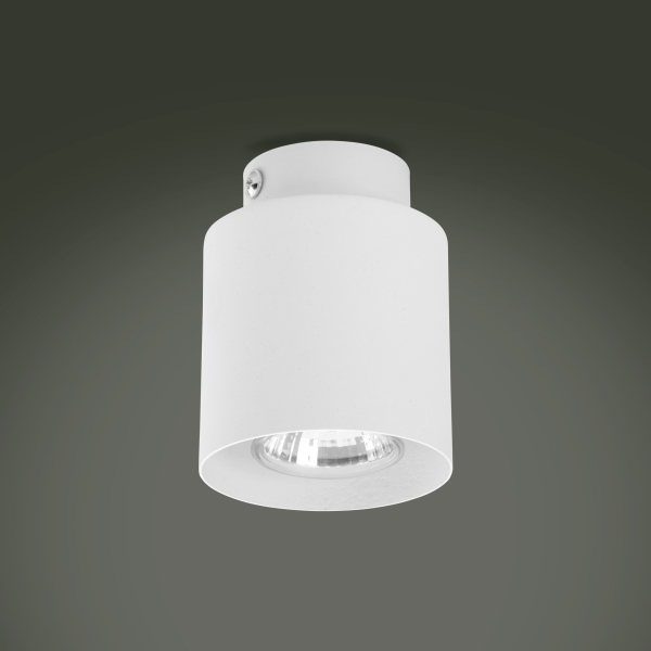 Накладной точечный светильник TK Lighting VICO белый