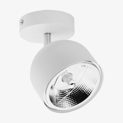 Накладний точковий світильник TK Lighting ALTEA 1 білий