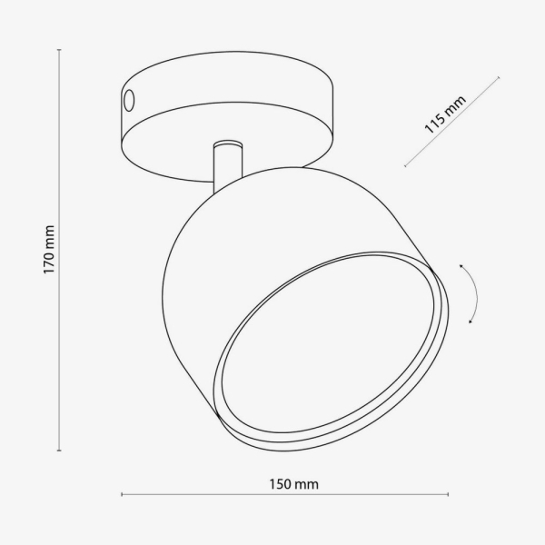 Накладний точковий світильник TK Lighting ALTEA 1 білий