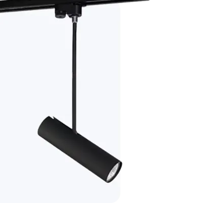 Трековые системы