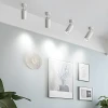 Акцентный прожектор Arlo — потолочный светильник, цвет черный і белый, из материала  метал, алюміній, стиль модерн
