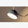 Подвесной светильник Belt light Hemishpere D20 Черный — из материала металл, стиль минимализм