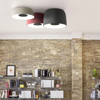 Светильник потолочный EVE