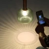 IRIX C дымчатый С 28*30cm Подвесной светильник — цвет зеленый, из материала ?, стиль современный