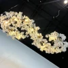 Подвесная люстра CARAMELLY E L120 светодиодная в зал — цвет прозрачный, стиль современный