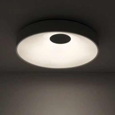 Светильник потолочный светодиодный LED ECLA