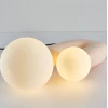 DUK LAMP Anzazo купити 21431грн.