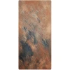 Тверда стінова панель Paintings With Half Rust 1220-3050-3мм